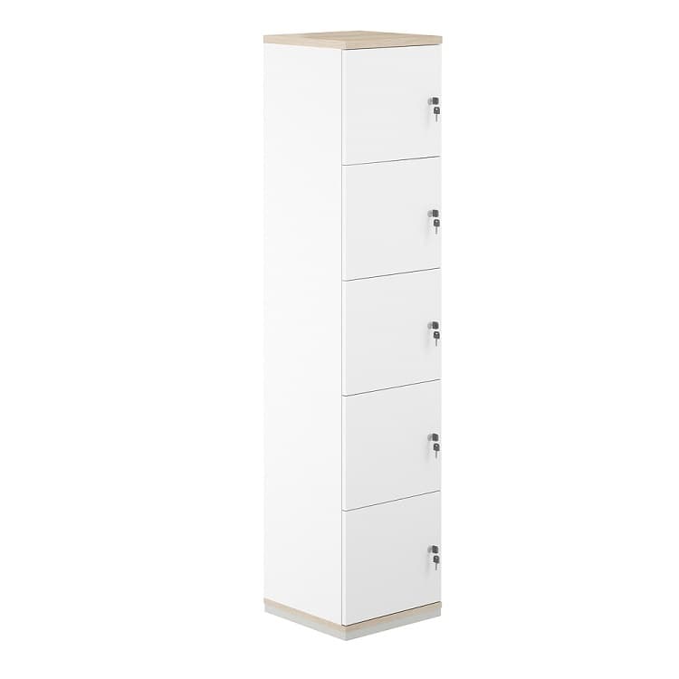 Шкаф-локер 5 ячеек Norden Allegro AG.232.WH.AR.WH